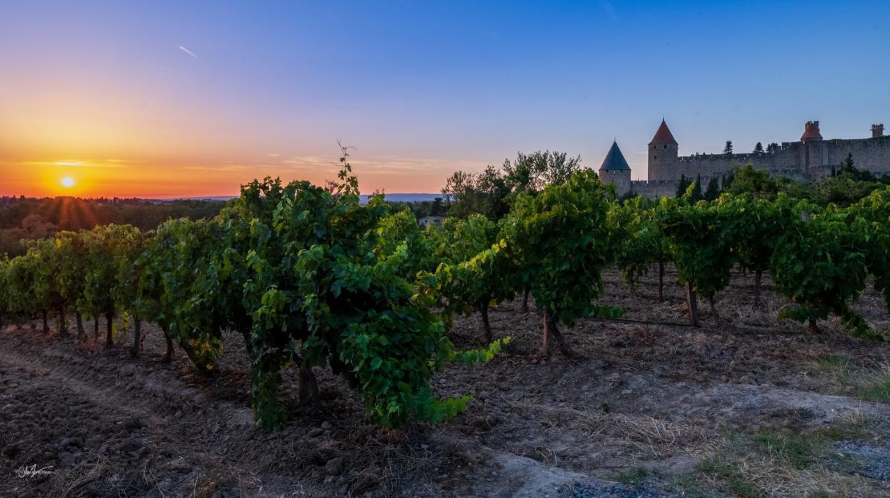 Cerise Carcassonne Sud Hotel Buitenkant foto