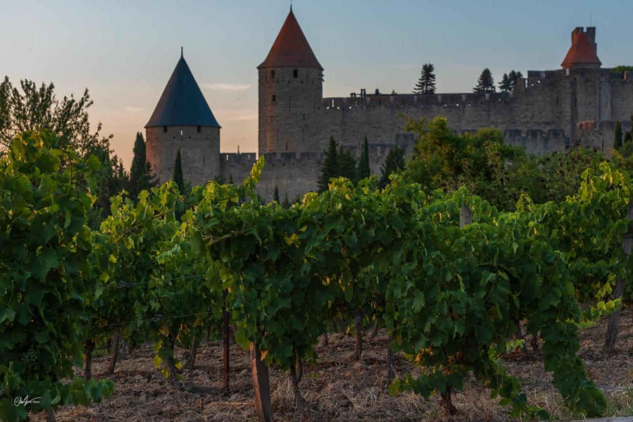 Cerise Carcassonne Sud Hotel Buitenkant foto
